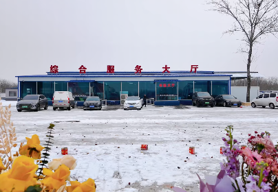 机动车检测站用地一定要工业地吗